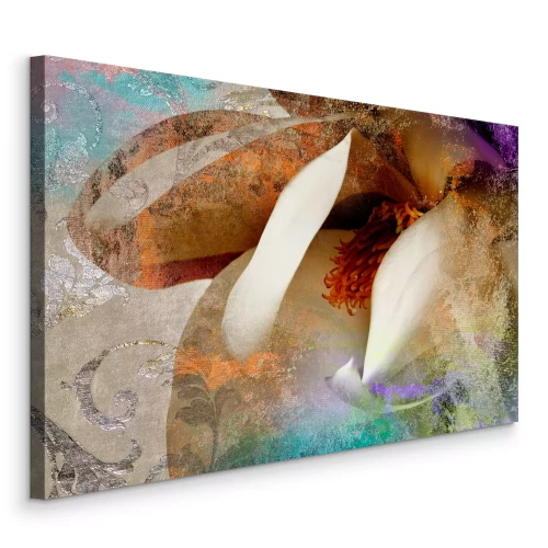 Bild Künstlerisches Detail einer Magnolienblüte in verschiedenen Farben