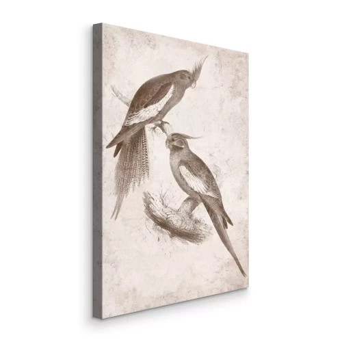 Bild Papageienskizze auf beigem Papier