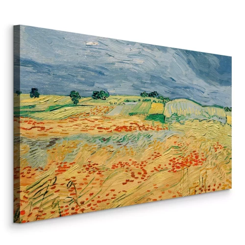 Bild Malerische Felder in intensiven Farben