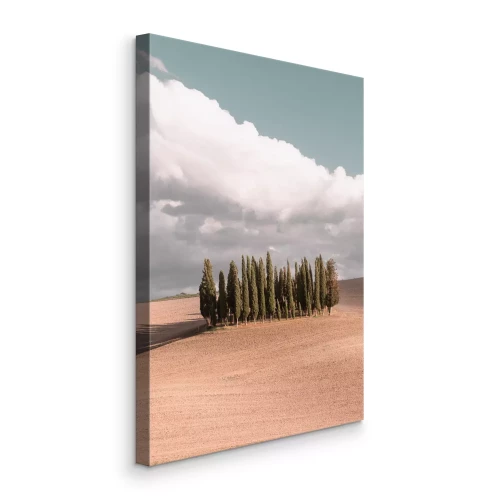 Bild Zypressen auf einem Hügel unter einem hellen Himmel