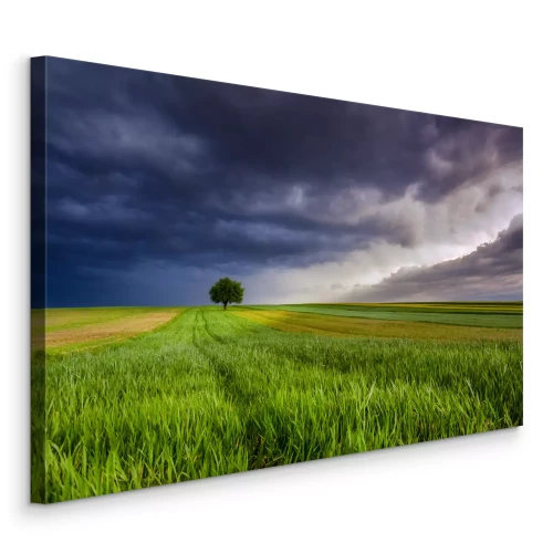 Bild Ein Baum auf einem Feld unter einem dunklen, stürmischen Himmel