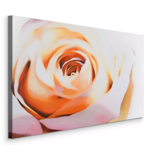 Bild Nahaufnahme einer Rose