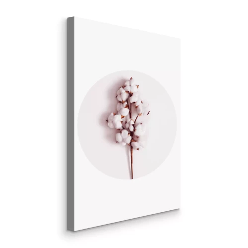 Bild Ein Baumwollzweig im Kreis