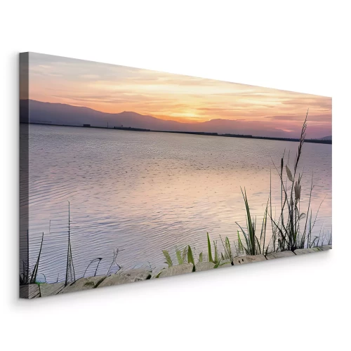 Bild Ein hölzerner Steg und Schilf über einem ruhigen See