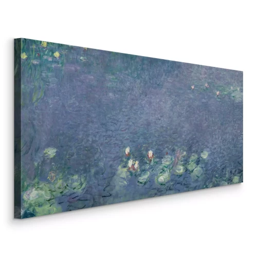 Bild Zarte Seerosen in der natürlichen Umgebung des Flusses