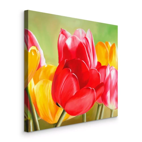 Bild Rote und gelbe Tulpen in leuchtenden Farben