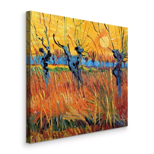 Bild Sonnenuntergang zwischen Weiden und farbenfrohen Graswiesen