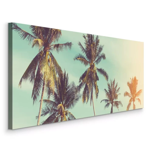 Bild Palmen vor einem pastellfarbenen Himmel