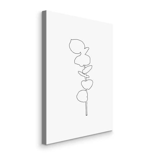 Bild Einfache Strichzeichnung eines Zweiges mit runden Blättern