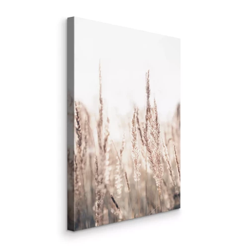 Bild Zarte Grashalme vor hellem Hintergrund