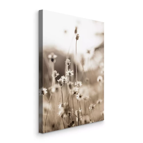 Bild Winzige Wildblumen vor verschwommenem Hintergrund