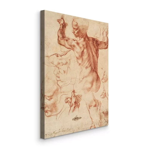 Bild Eine Zeichnung des Körpers und Profils eines Mannes, angefertigt mit Rötel