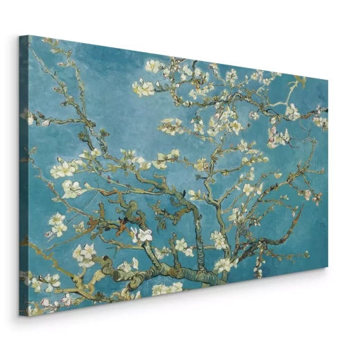 Bild Die Blumen der Natur blühen im blauen Licht