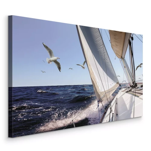 Bild Ein Segelboot und Möwen auf dem offenen Meer