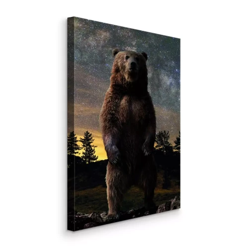 Bild Ein Braunbär in einer malerischen Hügellandschaft