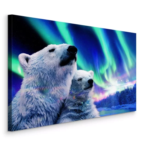 Bild Majestätische Bären unter den Nordlichtern