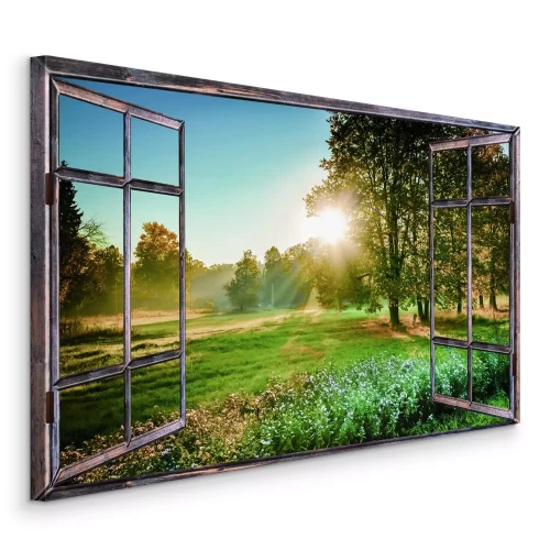 Bild Morgendlicher Blick auf die Wiese und die Bäume im Sonnenschein