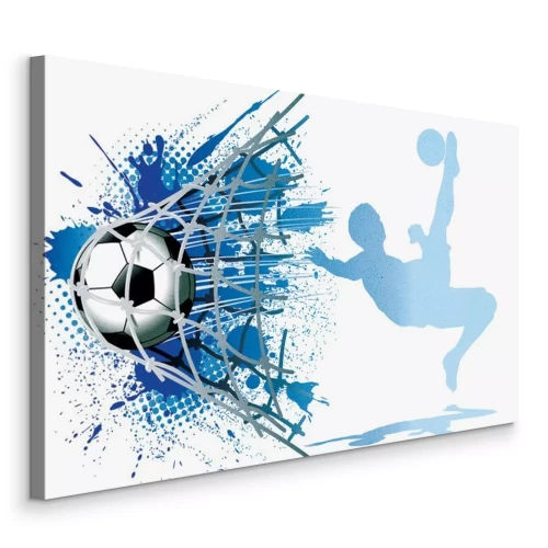 Bild Ein Fußball, der ins Tor fliegt, und der Schatten des Spielers