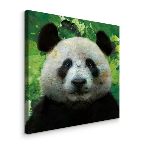 Bild Schwarz-weißer Panda auf Aquarellhintergrund