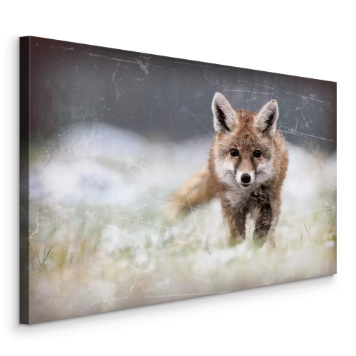 Bild Ein Fuchs auf der Morgenwiese