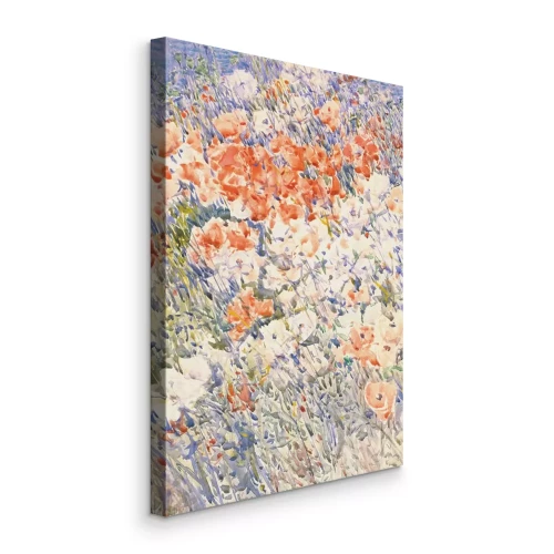 Bild Sonnenstrahlen auf einer Blumenlichtung im Gras