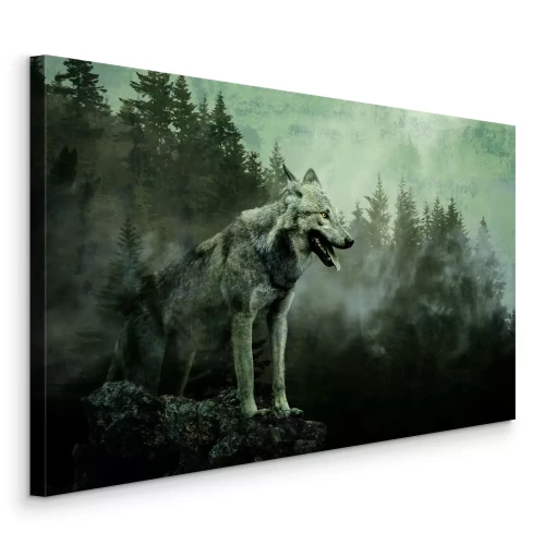 Bild Eine neblige Landschaft mit einem Wolf zwischen den Kiefern