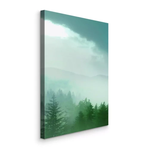 Bild Ein geheimnisvoller Fichtenwald, eingehüllt in dichten Nebel.