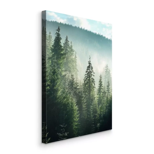 Bild Grüner Bergwald mit Nadelbäumen und Nebel