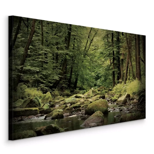 Bild Ein Bach, der durch einen grünen Wald fließt