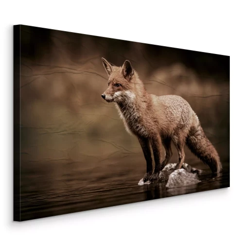 Bild Ein einsamer Fuchs im Wasser