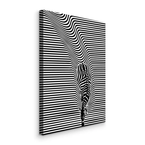 Bild Schwarze und weiße Linien in einer Zebra-Illusion