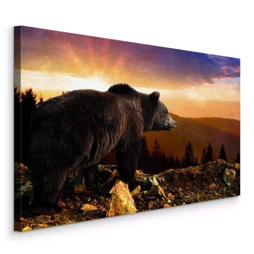 Bild Ein kräftiger Braunbär vor goldenem Himmel