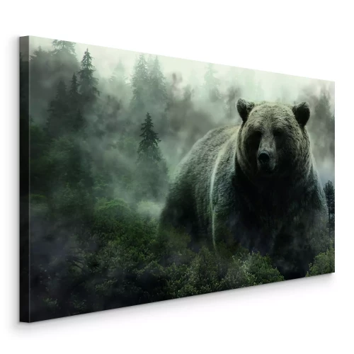 Bild Ein ausgewachsener Bär in einer geheimnisvollen, nebligen Waldlandschaft
