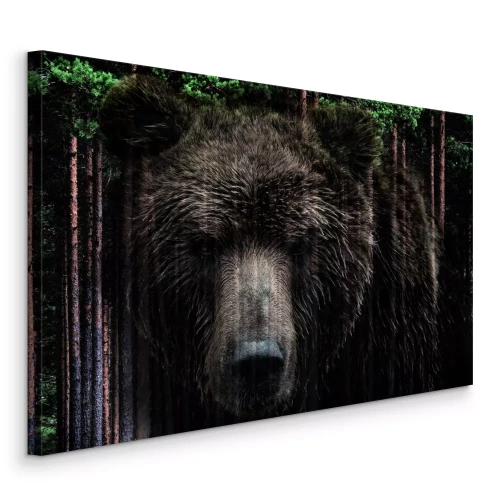 Bild Ein Braunbär inmitten eines Nadelwaldes