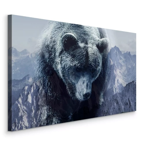 Bild Braunbär vor dem Hintergrund von Bergfelsen