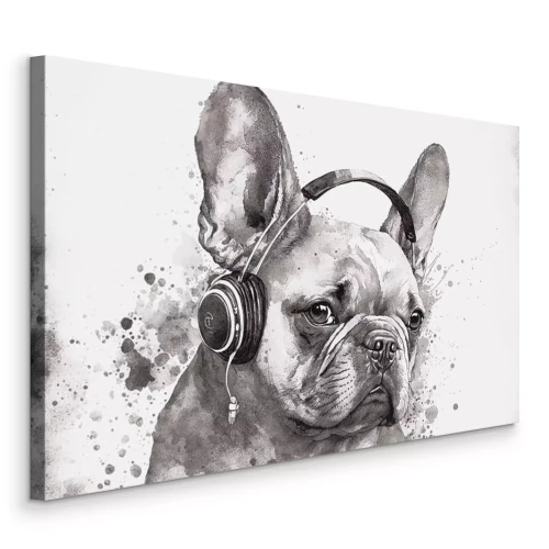 Bild Ein minimalistisches Porträt eines Hundes mit Kopfhörern.