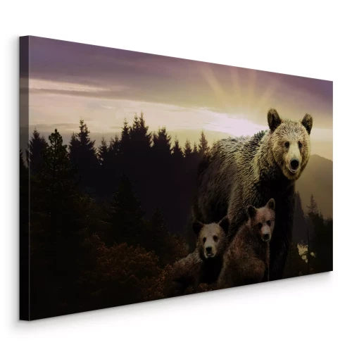 Bild Braunbären im Licht der untergehenden Sonne