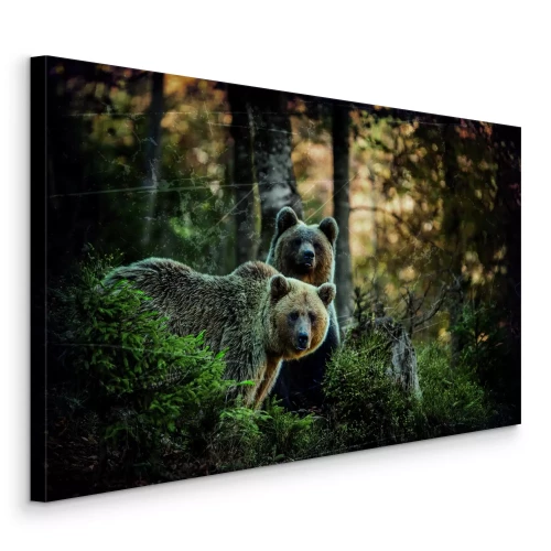 Bild Bären im Zauberwald in der Abenddämmerung