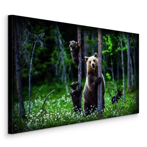 Bild Eine ausgewachsene Bärin spaziert mit ihren Jungen zwischen den Bäumen.