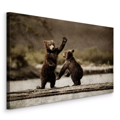 Bild Junge Bärenjunge haben unbeschwerten Spaß