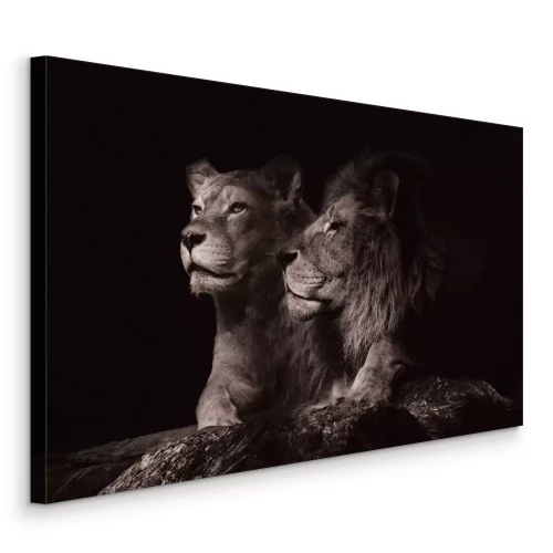 Bild Ausgewachsene Löwen ruhen auf einem Felsen