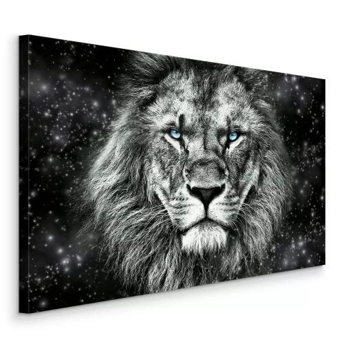 Bild Porträt eines wilden Tigers in Schwarz