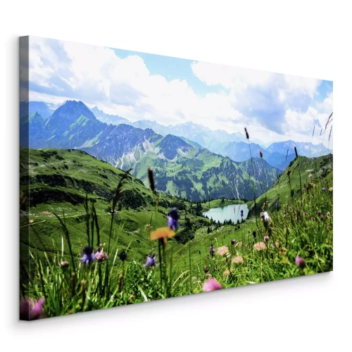 Bild Bergwiesen mit Wildblumen und einer felsigen Landschaft