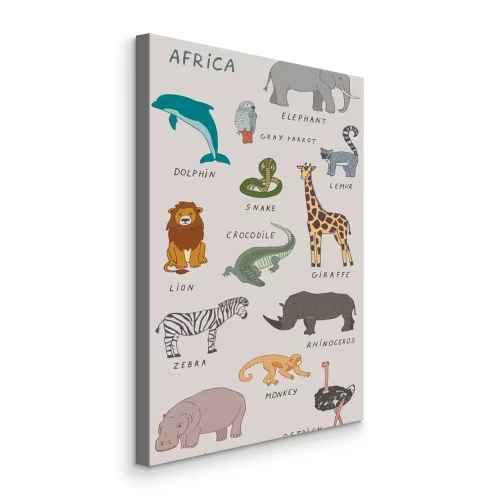 Bild Farbenfrohe Illustrationen exotischer Tiere