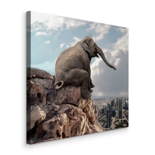Bild Ein nachdenklicher Elefant auf einem Stein mit Stadtpanorama
