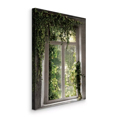 Bild Grüne Ranken um ein altes Fenster
