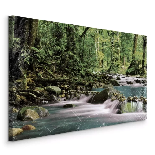 Bild Die saubere Energie des Waldwassers