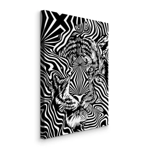 Bild Wildkatzenblick in Illusion