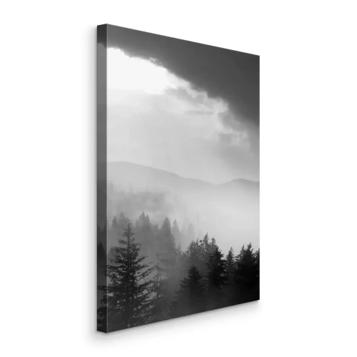 Bild Ein dunkler Nadelwald, eingehüllt in dichten Nebel