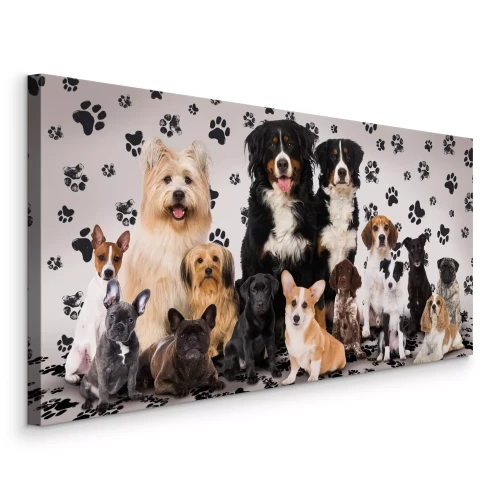 Bild Reinrassige Hunde mit eleganter Haltung